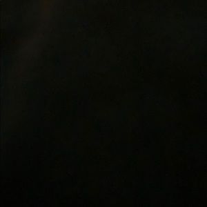 Meet your Posher, Noah